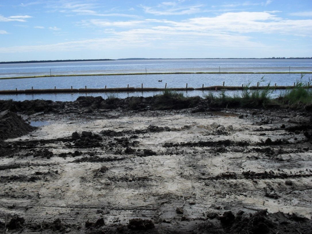 Figure 8. Active saltmarsh rehabilitation - regraded foreshore with sediment fencing to avoid impacting water quality