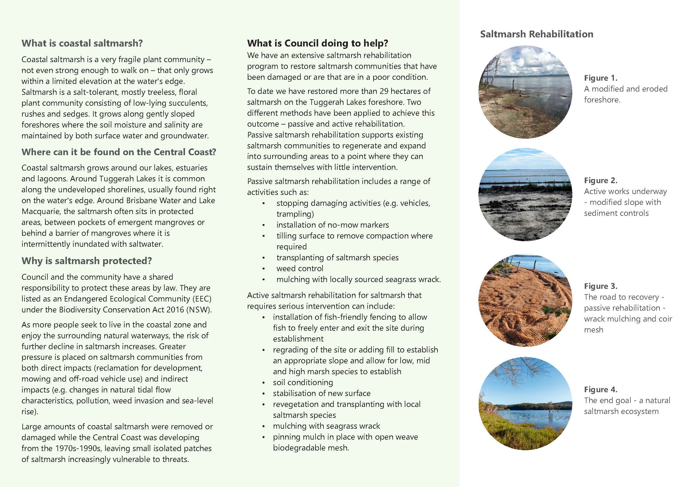 Coastal Saltmarsh Brochure