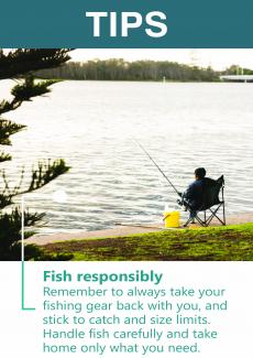Fish responsibly