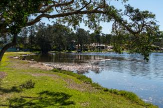 Clinches Pond Environment Group in Moorebank, NSW - 13 Feb, 2021 Sat 9:00am