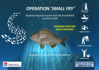 Obey fishing laws