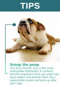 Scoop the poop