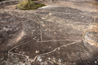 large Aboriginal rock carving