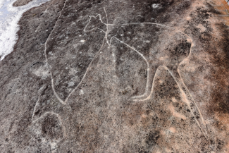 large Aboriginal rock carving