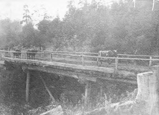 a black and white image of a wooden bridge with cows crossing