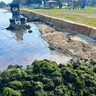 Wrack collector cleaning up after a flood